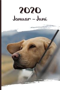 Kalender 2020