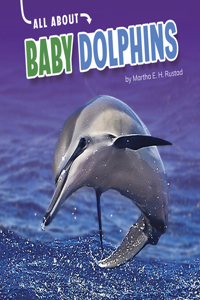 Baby Dolphins