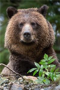 Bear Lovers 2020 Weekly Monthly Planner