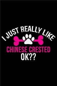I Just Really Like Chinese Crested Ok?
