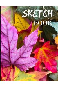 Sketch Book