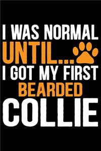 I Was Normal Until I Got My First Bearded Collie