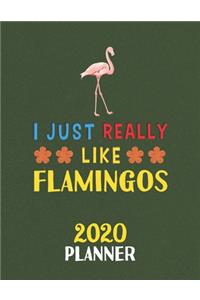 I Just Really Like Flamingos 2020 Planner