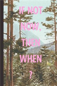 If Not Now Then When?