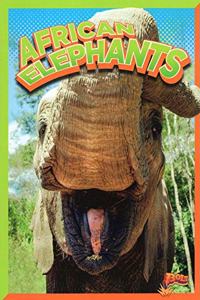 African Elephants (Wild Animal Kingdom)