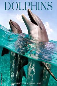 Dolphins