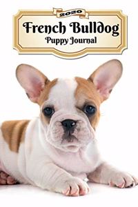 2020 French Bulldog Puppy Journal