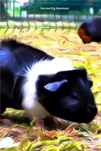 Guinea Pig Notebook