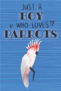 Just a Boy Who Loves Parrots