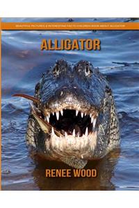 Alligator