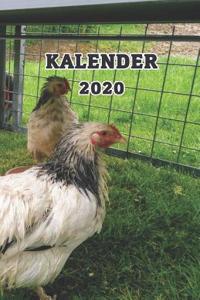 Kalender 2020: Hühner/Eier Kalender/Landwirt/Hobbyzüchter/Legeaufzeichnung/Eier Legeleistung