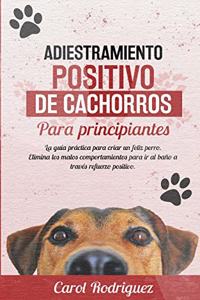 Adiestramiento positivo de cachorros para principiantes