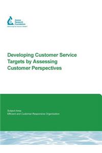 Developing Customer Service Targets by Assessing Customer Perspectives