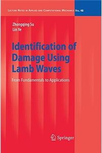 Identification of Damage Using Lamb Waves