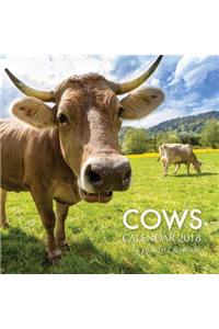 Cows Calendar 2018