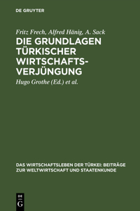 Grundlagen türkischer Wirtschaftsverjüngung