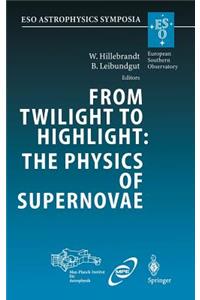 From Twilight to Highlight: The Physics of Supernovae