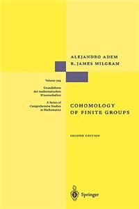 Cohomology of Finite Groups