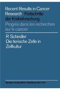 Die tierische Zelle in Zellkultur