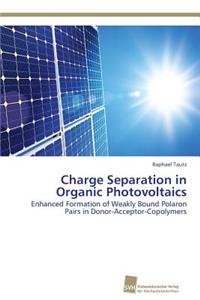 Charge Separation in Organic Photovoltaics