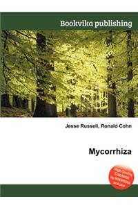 Mycorrhiza