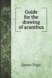Guide for the drawing of acanthus
