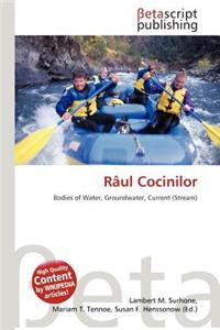 Raul Cocinilor