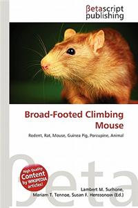 Broad-Footed Climbing Mouse