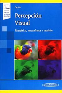 Percepcion visual: Psicofisica, mecanismos y modelos.