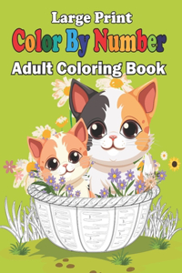 Large Print Color By Number Adult Coloring Book