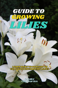 Guide to Growing Lilies