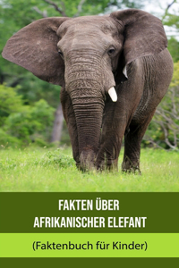 Fakten über Afrikanischer Elefant (Faktenbuch für Kinder)