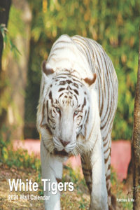 White Tigers