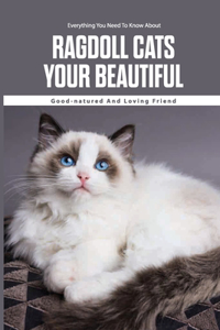 Everything You Need To Know About Ragdoll Cats - Your Beautiful, Good-natured And Loving Friend