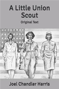 A Little Union Scout