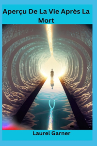 Aperçu De La Vie Après La Mort