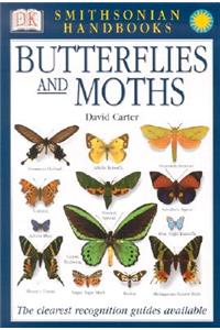 Butterflies & Moths