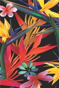 2019 - 2020 Mid Year 18 Month Student Diary Tropical Birds Of Paradise - Mind Maps, Student Finance Planner, Goal Setting & Inspirational Quotes