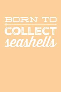 Born to Collect Seashells