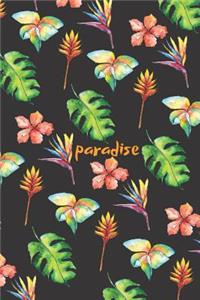 Paradise
