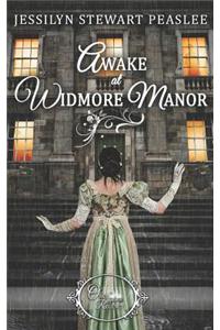 Awake at Widmore Manor