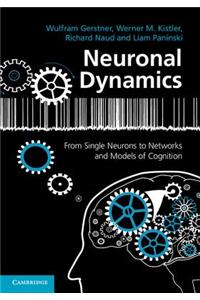 Neuronal Dynamics