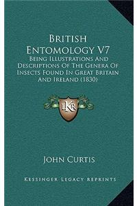 British Entomology V7