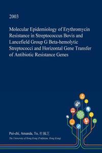 Molecular Epidemiology of Erythromycin Resistance in Streptococcus Bovis and Lancefield Group G Beta-Hemolytic Streptococci and Horizontal Gene Transfer of Antibiotic Resistance Genes