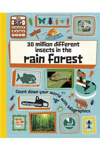 30 Million Different Insects in the Rainforest