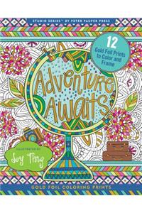 Adventure Awaits! Foiled Artist's Coloring Book (12 Stress-Relieving Designs)