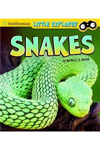 Snakes