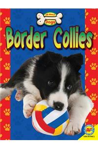 Border Collies