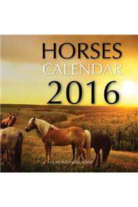 Horses Calendar 2016