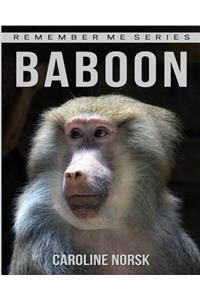 Baboon